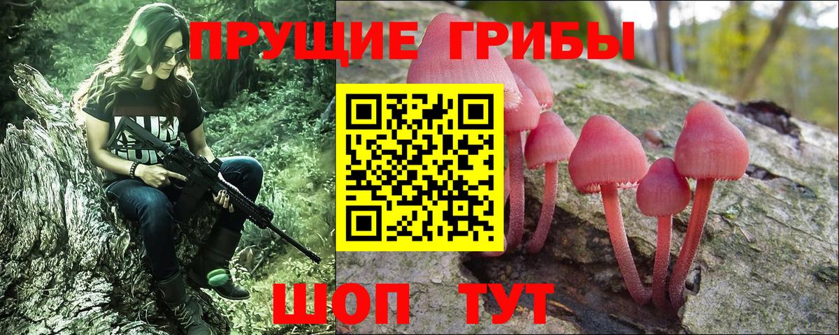 Галлюциногенные грибы MAGIC MUSHROOMS  Вход с VPN  Псилоцибиновые грибы мухоморы  Курчалой 