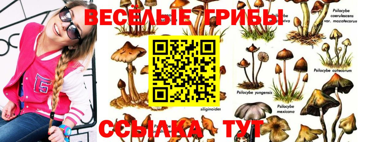 Галлюциногенные грибы ЛСД Курчалой